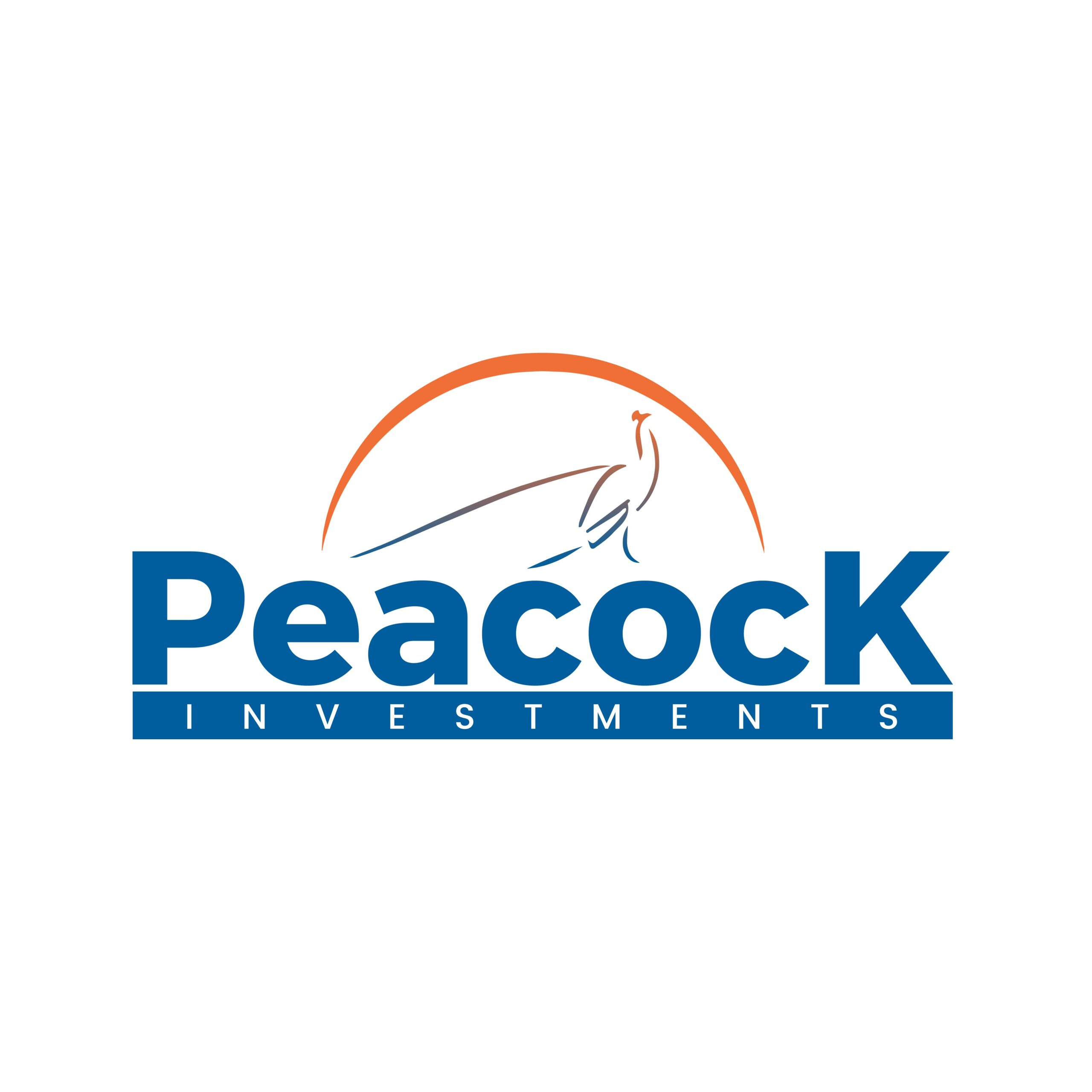PEACOCK INVESTMENT